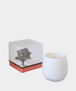 Andaluca - Botanique Luxe White Candle