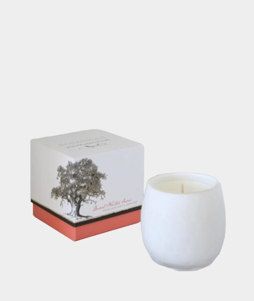 Andaluca - Botanique Luxe White Candle